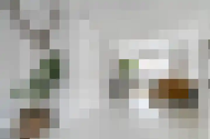 van Halewijnplein 20 Voorburg thumbnail 12