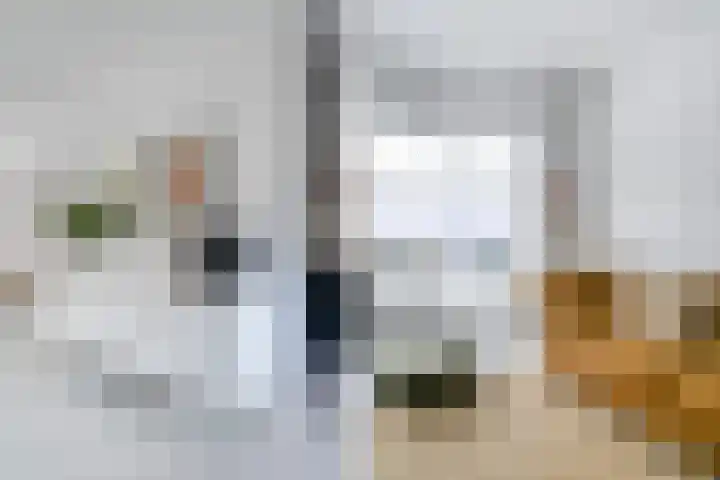 van Halewijnplein 20 Voorburg thumbnail 14