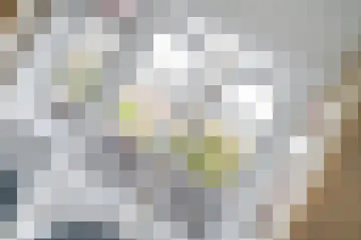 van Halewijnplein 20 Voorburg thumbnail 15
