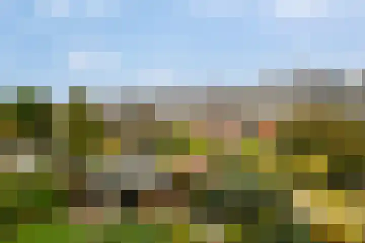 van Halewijnplein 20 Voorburg thumbnail 17