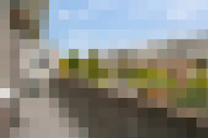 van Halewijnplein 20 Voorburg thumbnail 18