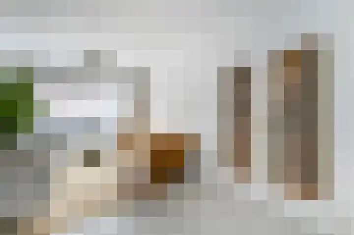 van Halewijnplein 20 Voorburg thumbnail 19