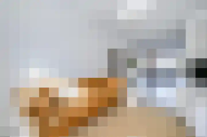 van Halewijnplein 20 Voorburg thumbnail 21