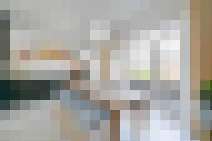 van Halewijnplein 20 Voorburg thumbnail 25