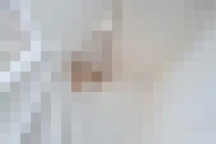 van Halewijnplein 20 Voorburg thumbnail 33