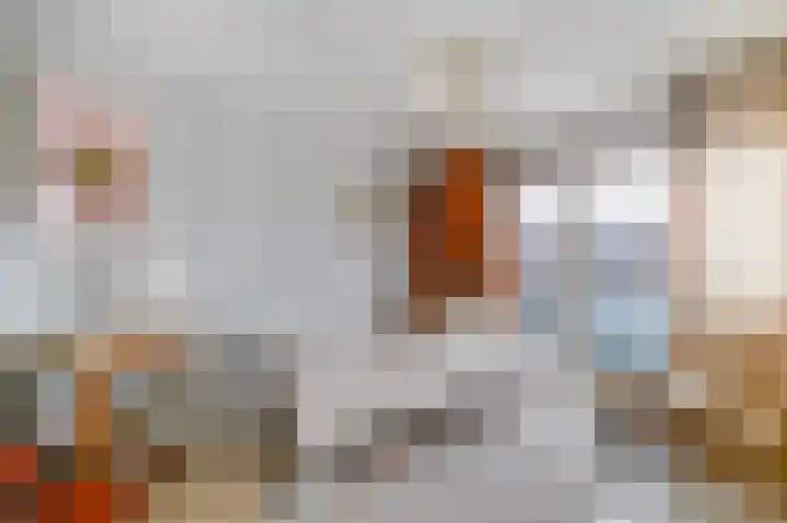 van Halewijnplein 20 Voorburg thumbnail 35