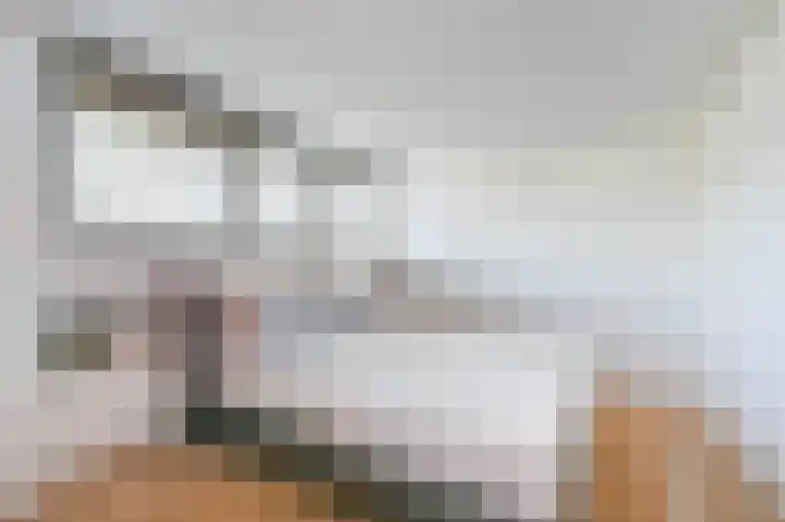 van Halewijnplein 20 Voorburg thumbnail 45
