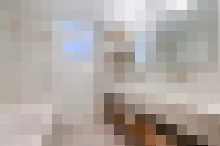 van Halewijnplein 20 Voorburg thumbnail 48