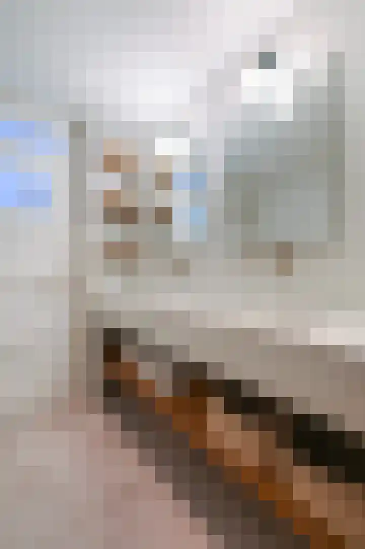 van Halewijnplein 20 Voorburg thumbnail 49