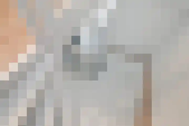 van Halewijnplein 20 Voorburg thumbnail 56