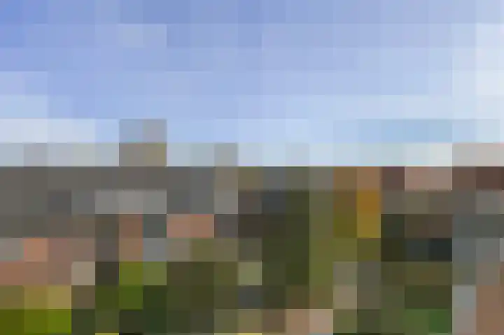 van Halewijnplein 20 Voorburg thumbnail 66