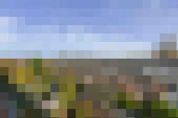 van Halewijnplein 20 Voorburg thumbnail 67