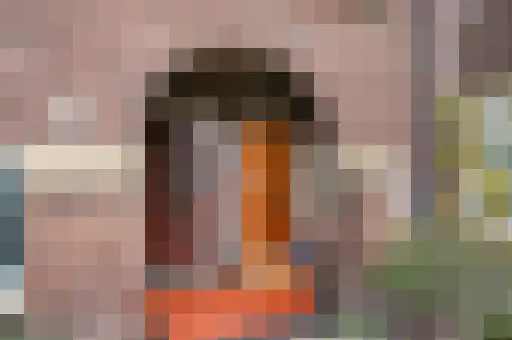 van Halewijnplein 20 Voorburg thumbnail 8