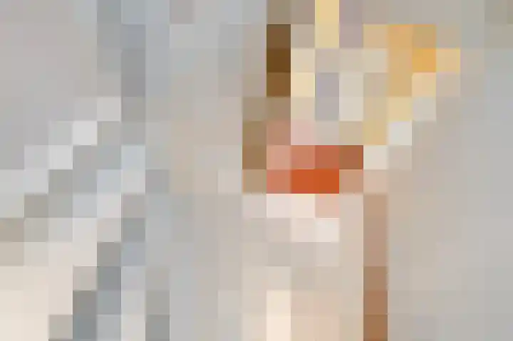 van Halewijnplein 20 Voorburg thumbnail 9