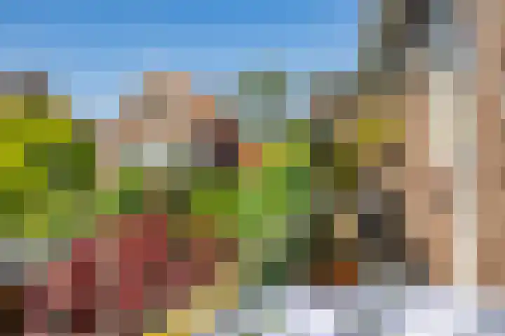 van Halewijnplein 29 Voorburg thumbnail 12