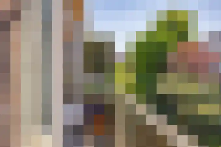 van Halewijnplein 29 Voorburg thumbnail 13