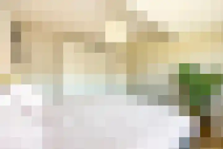 van Halewijnplein 29 Voorburg thumbnail 25