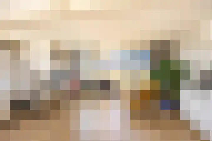 van Halewijnplein 29 Voorburg thumbnail 33