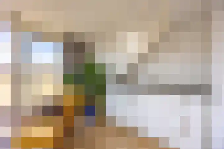 van Halewijnplein 29 Voorburg thumbnail 34