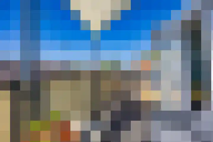 van Halewijnplein 29 Voorburg thumbnail 35