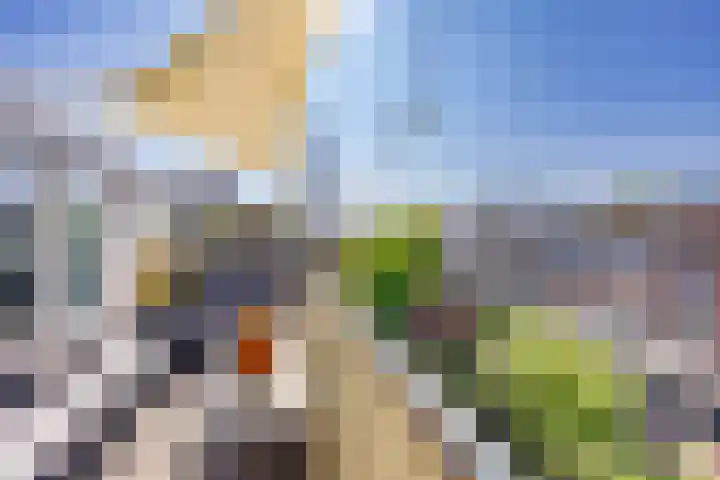 van Halewijnplein 29 Voorburg thumbnail 36