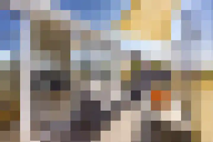 van Halewijnplein 29 Voorburg thumbnail 37