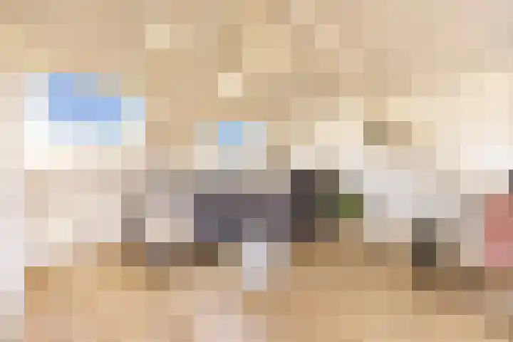 van Halewijnplein 29 Voorburg thumbnail 39
