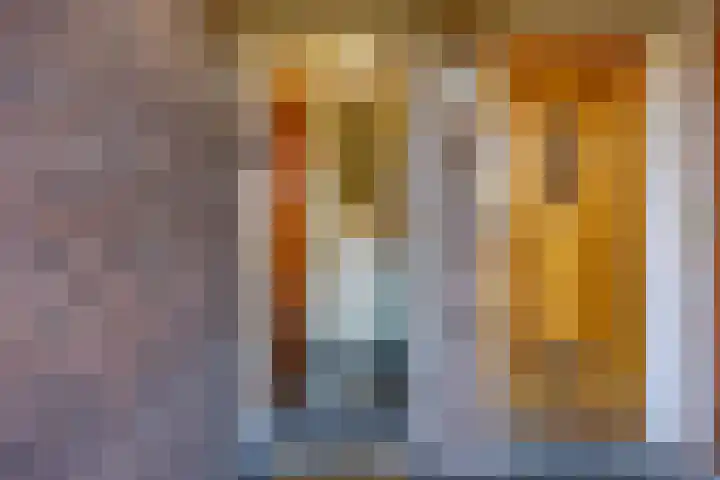 van Halewijnplein 29 Voorburg thumbnail 41