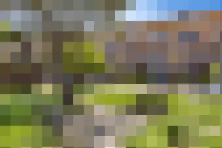 van Halewijnplein 29 Voorburg thumbnail 45