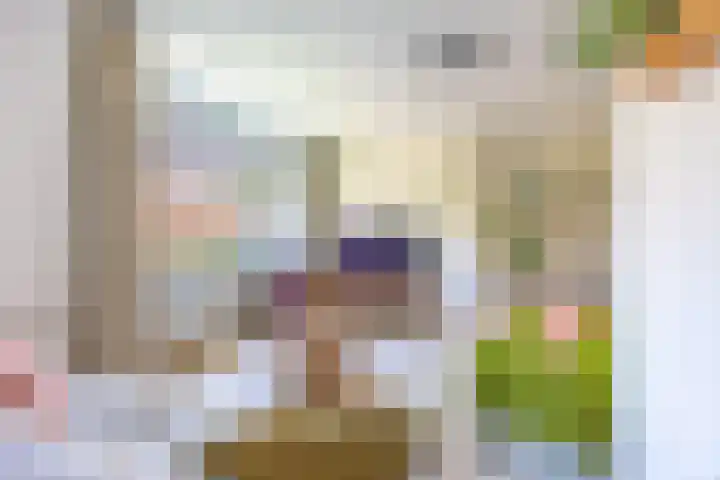 van Halewijnplein 29 Voorburg thumbnail 5