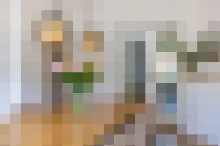 van Halewijnplein 29 Voorburg thumbnail 9