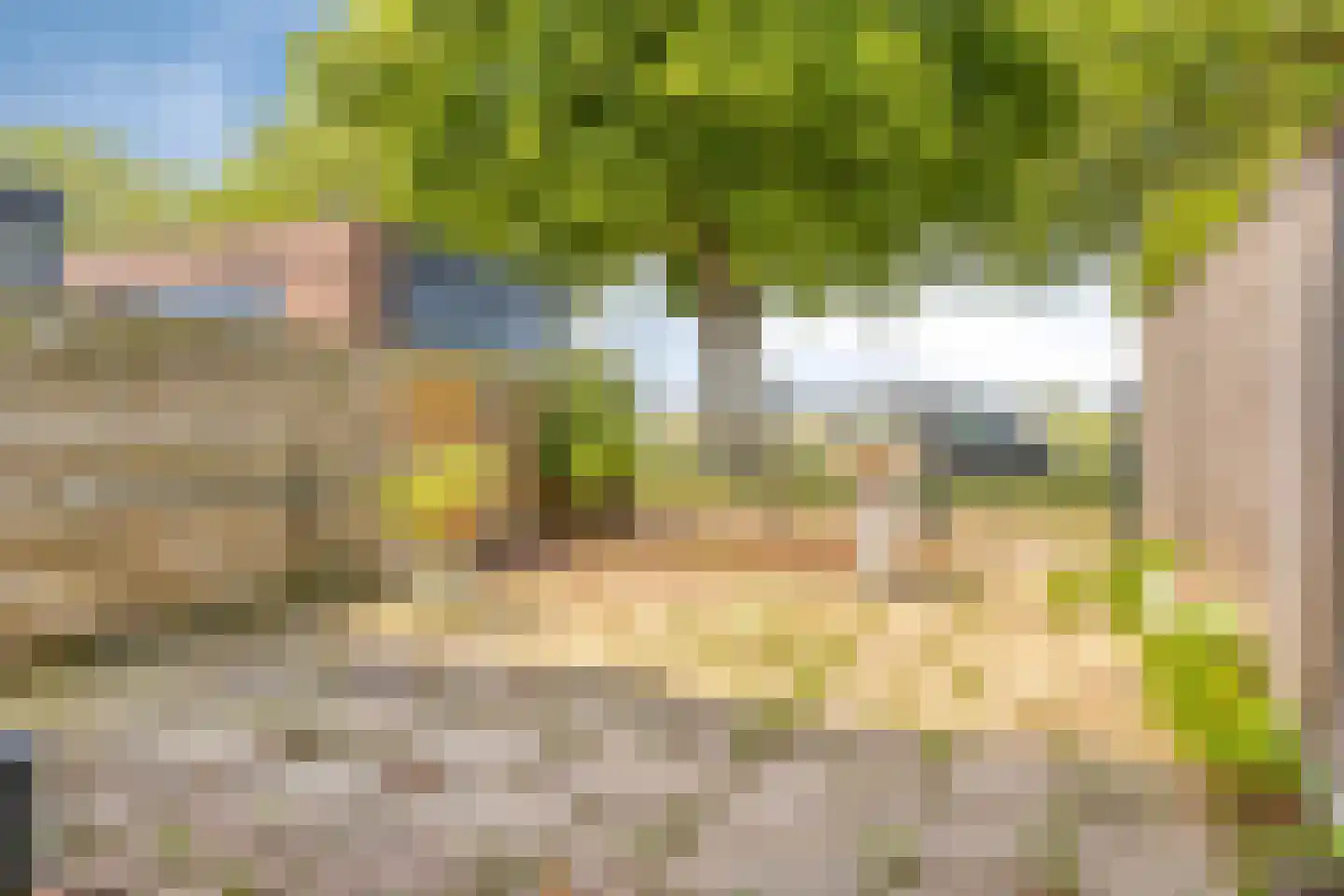 van Hall-laan 3 Axel thumbnail 22