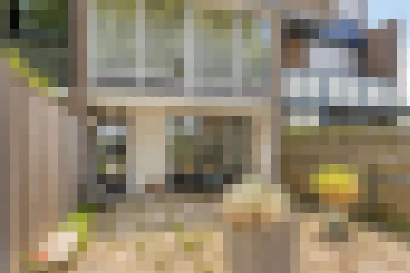 van Hall-laan 3 Axel thumbnail 23