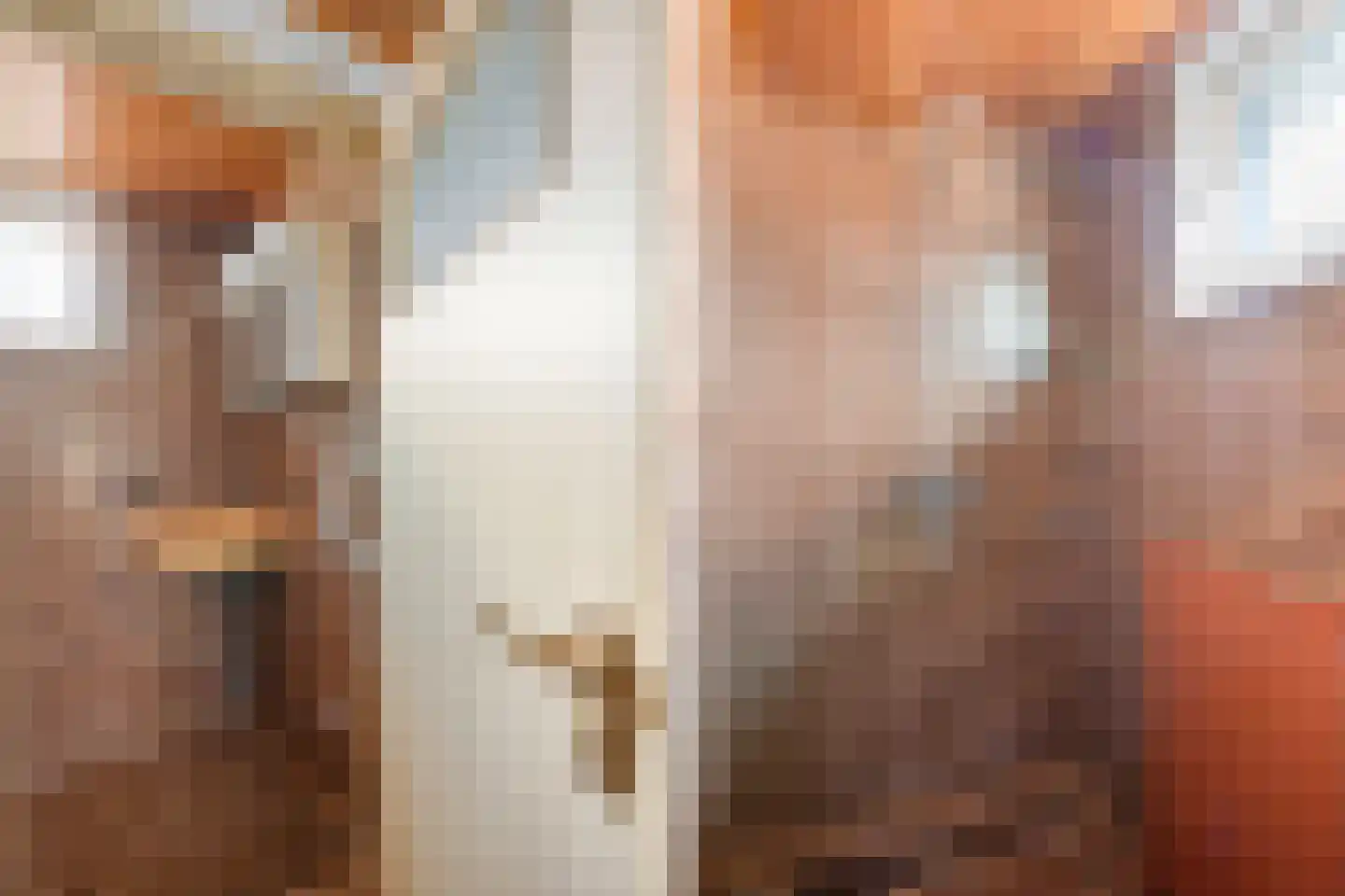 van Halllaan 12 Nieuwegein thumbnail 13