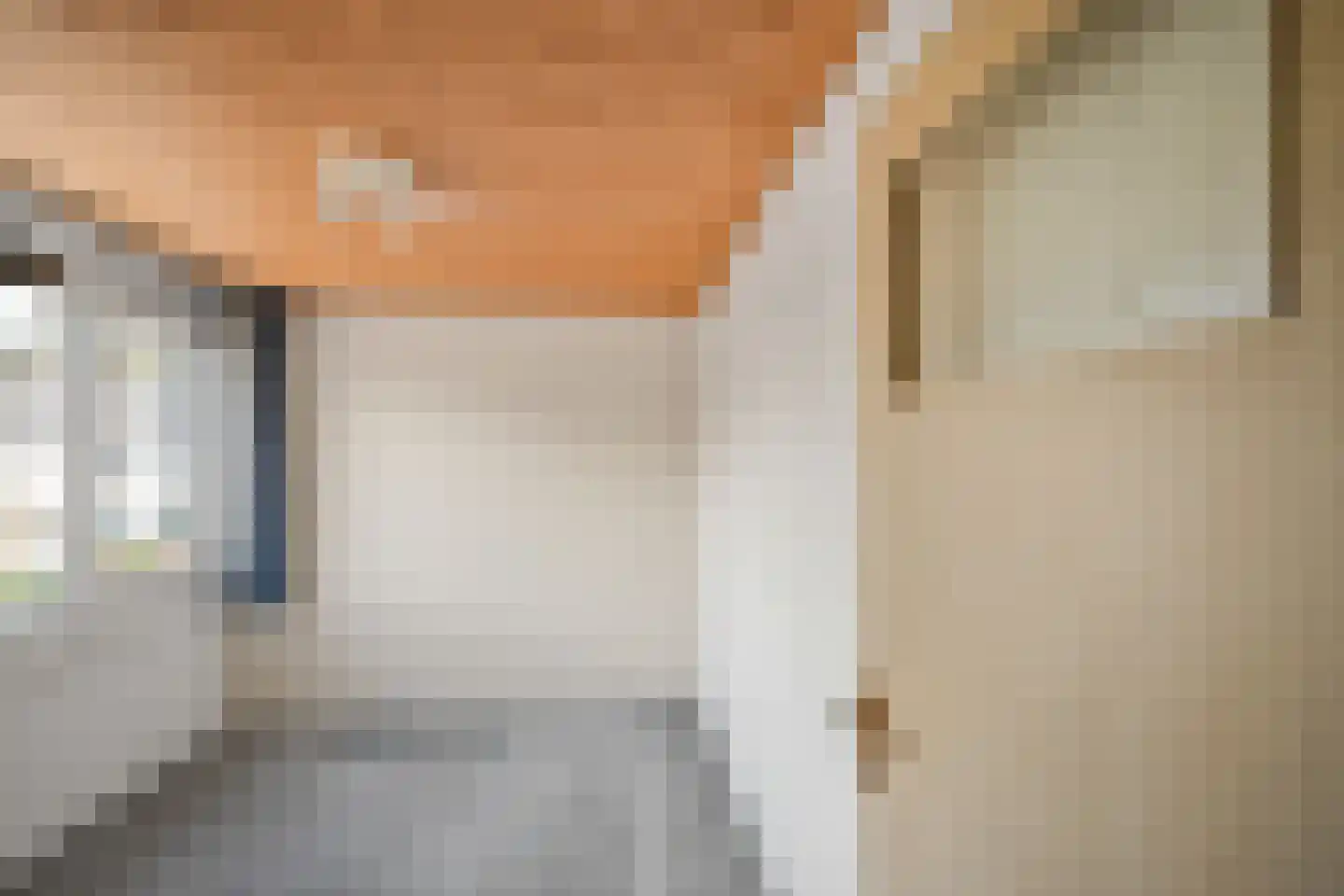 van Halllaan 12 Nieuwegein thumbnail 14