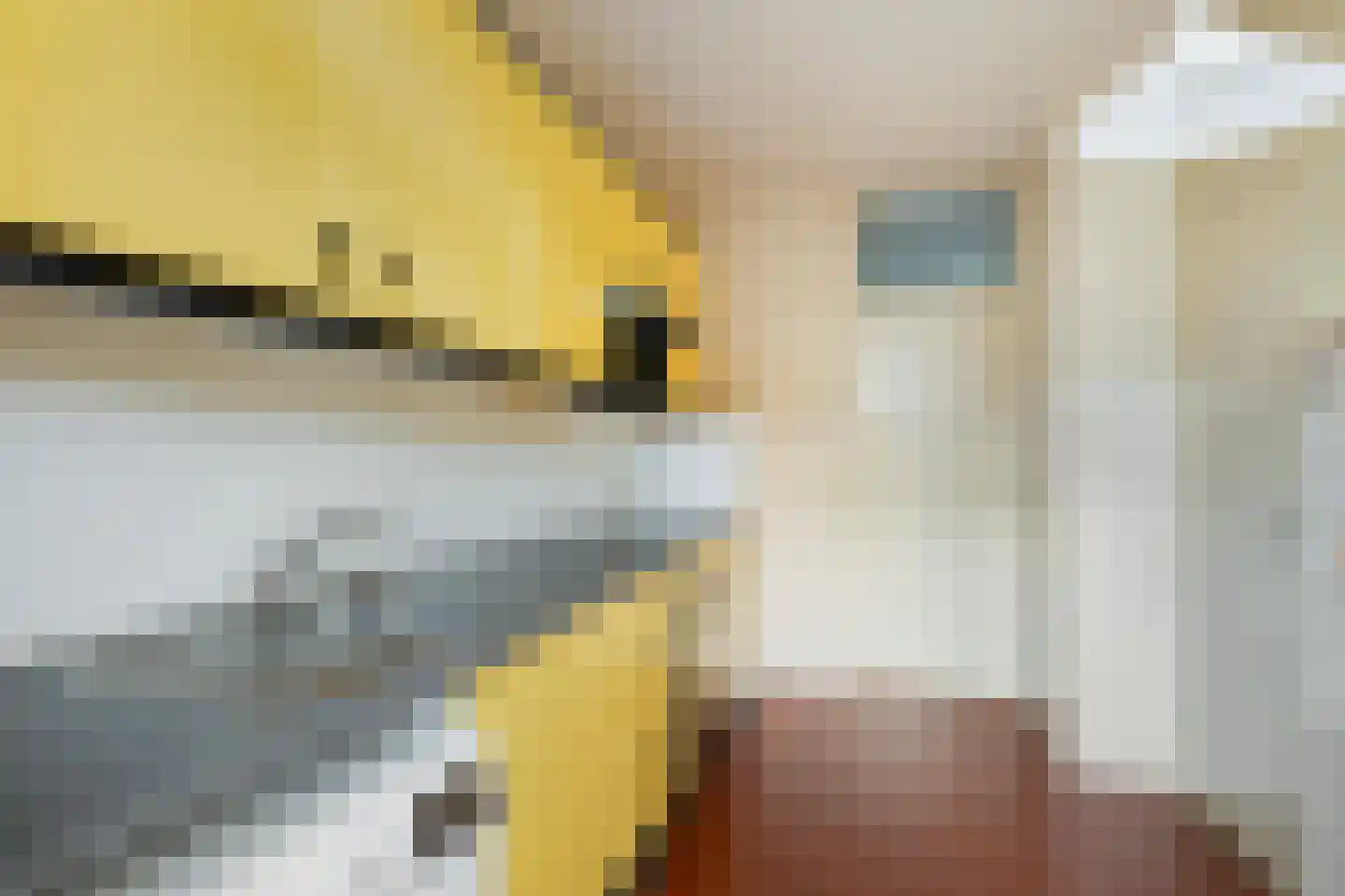 van Halllaan 21 Nieuwegein thumbnail 17