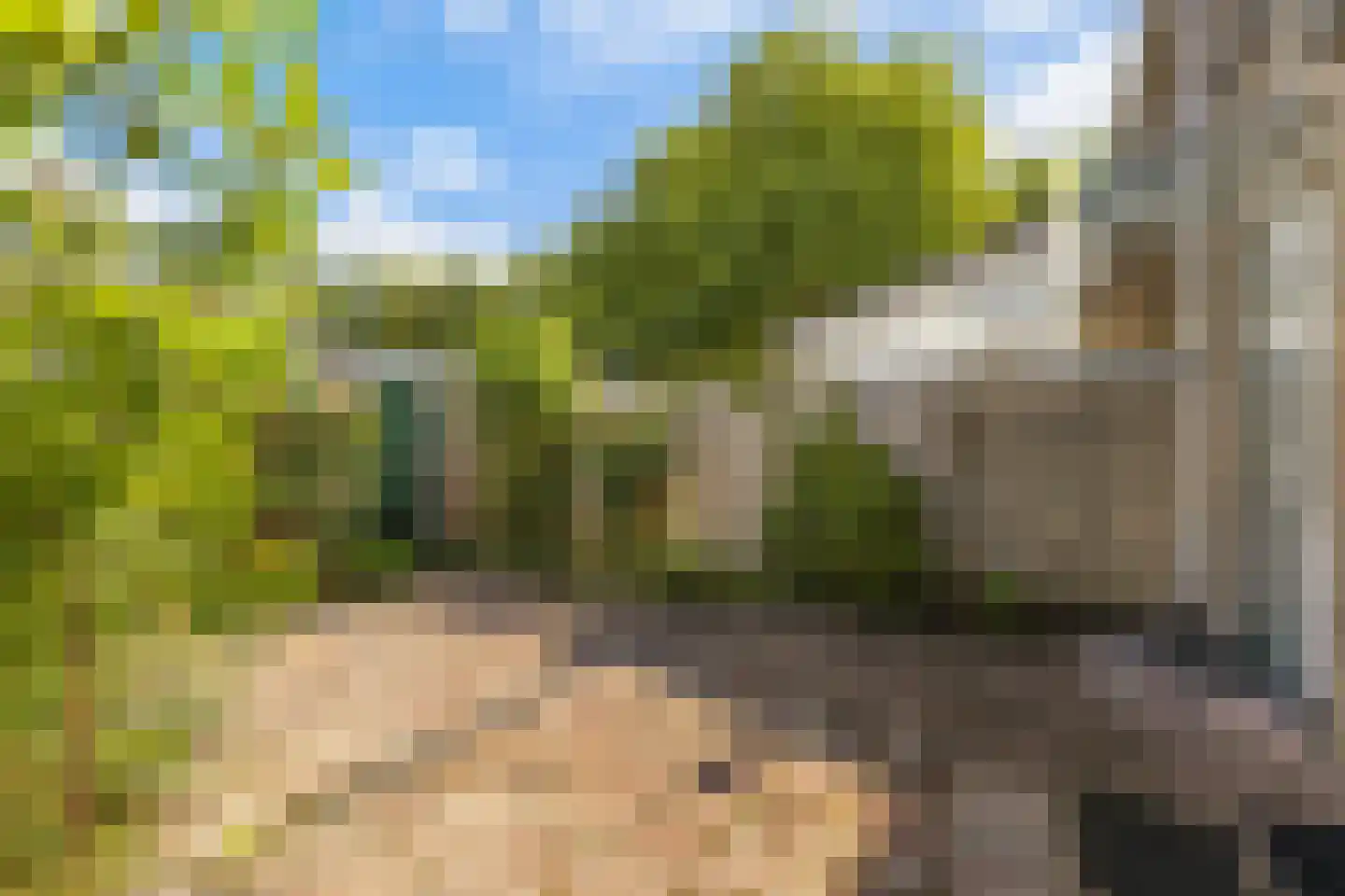 van Halllaan 21 Nieuwegein thumbnail 32