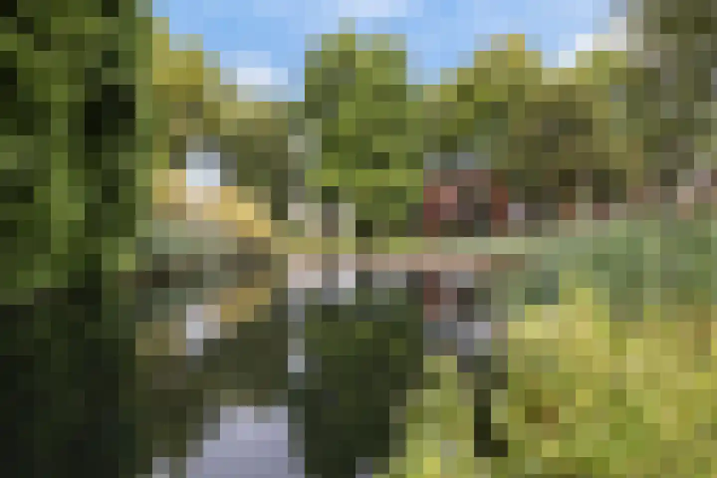 van Halllaan 21 Nieuwegein thumbnail 43