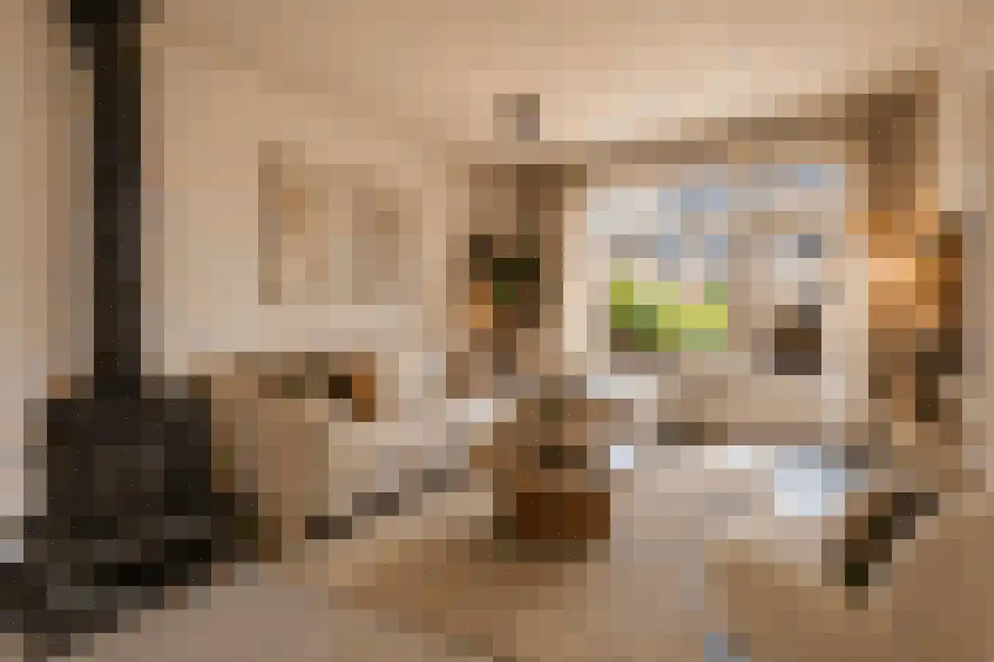 van Halllaan 21 Nieuwegein thumbnail 9