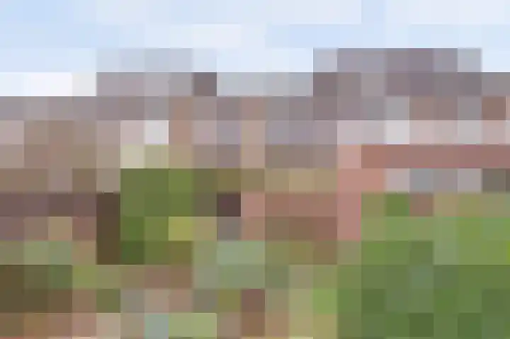 van Halllaan 4 Nieuwegein thumbnail 13