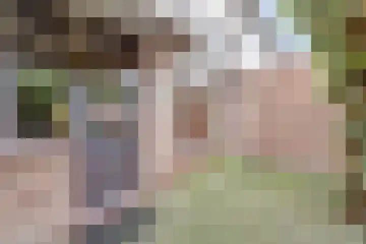 van Halllaan 4 Nieuwegein thumbnail 14