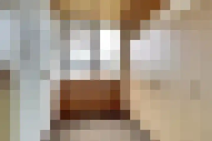 van Halllaan 4 Nieuwegein thumbnail 21