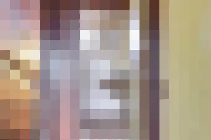 van Halllaan 4 Nieuwegein thumbnail 22