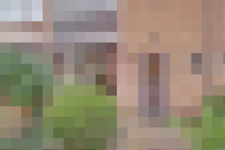 van Halllaan 4 Nieuwegein thumbnail 26