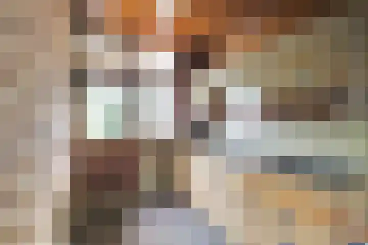 van Halllaan 4 Nieuwegein thumbnail 6