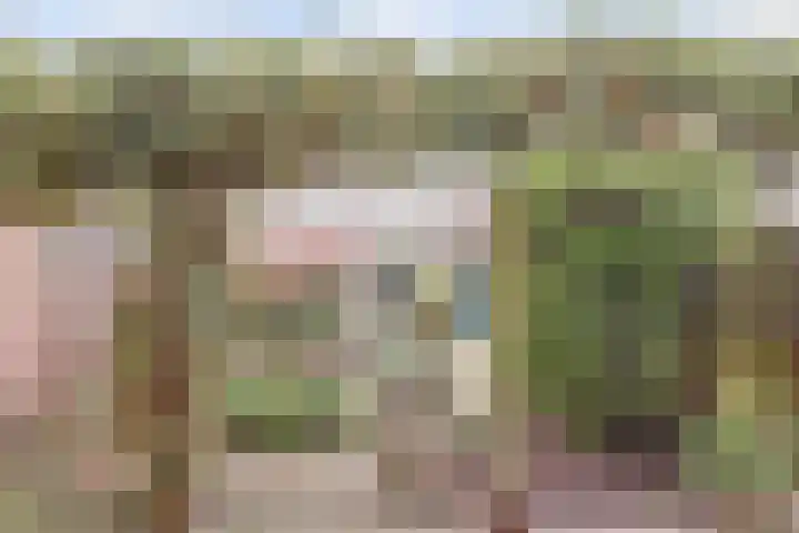 van Halllaan 4 Nieuwegein thumbnail 9