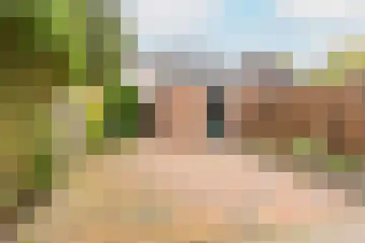 van Halllaan 8 Nieuwegein thumbnail 11