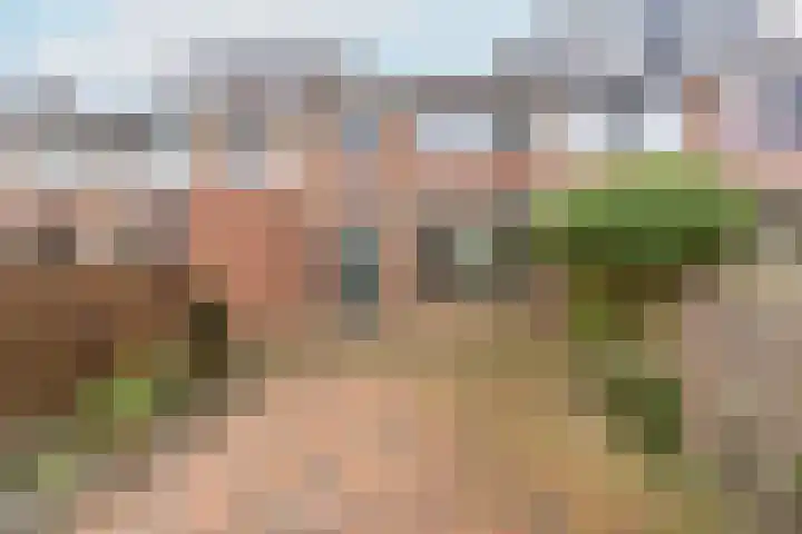 van Halllaan 8 Nieuwegein thumbnail 12