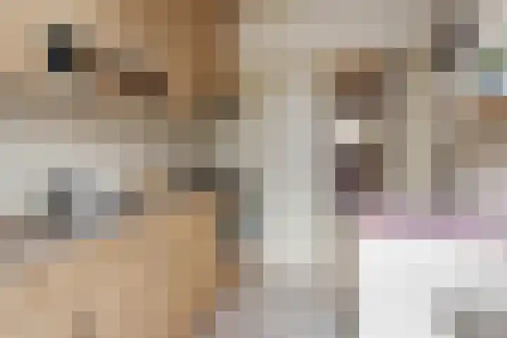 van Halllaan 8 Nieuwegein thumbnail 14
