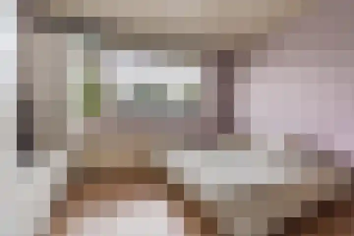 van Halllaan 8 Nieuwegein thumbnail 16